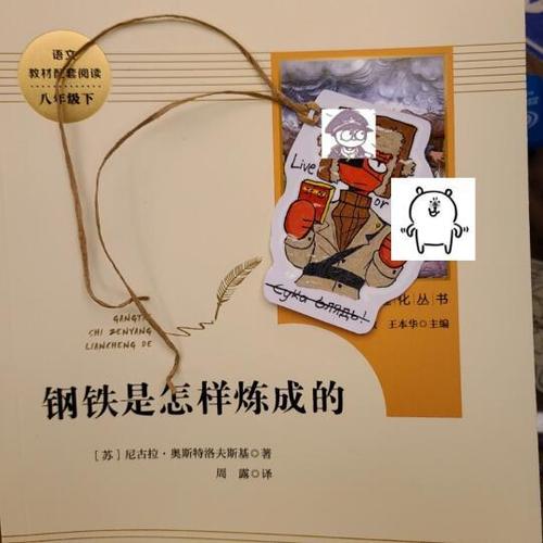 我的新书