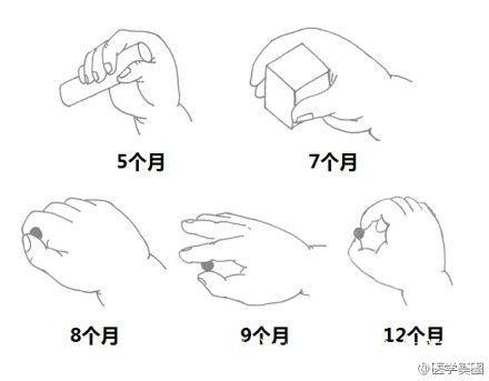 什么叫手指精细动作