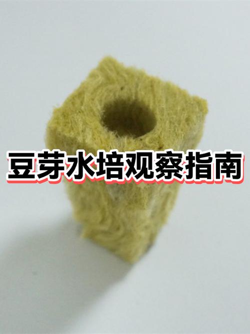 豆芽发芽制作过程缩略图
