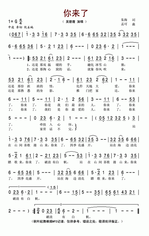 庄文静的《你来了》