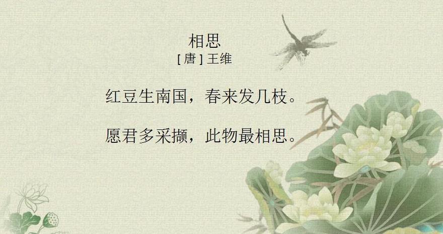 红豆的作者