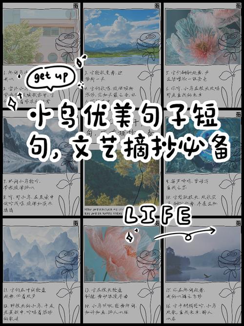 鸟的文案高级感