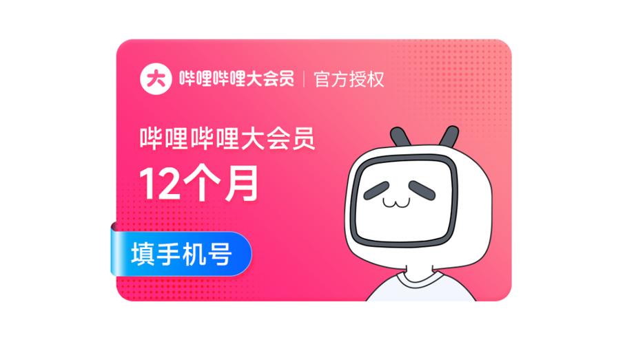 哔哩哔哩VIP视频缩略图