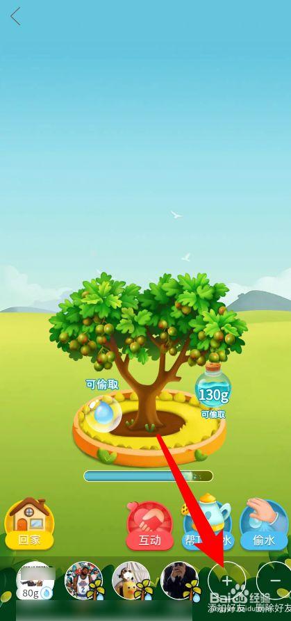 为什么多多果园加不了好友
