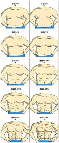 捏肚子测体脂率多少截图