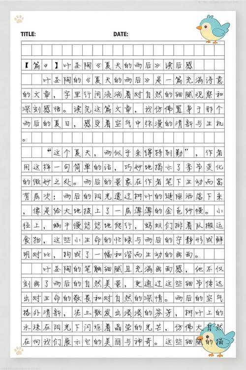 夏天的雨后读后感