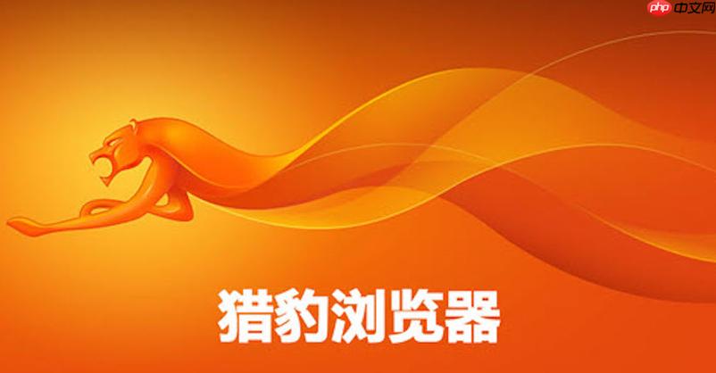 liebao猎豹官网入口