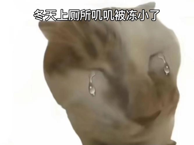 冬季表情包