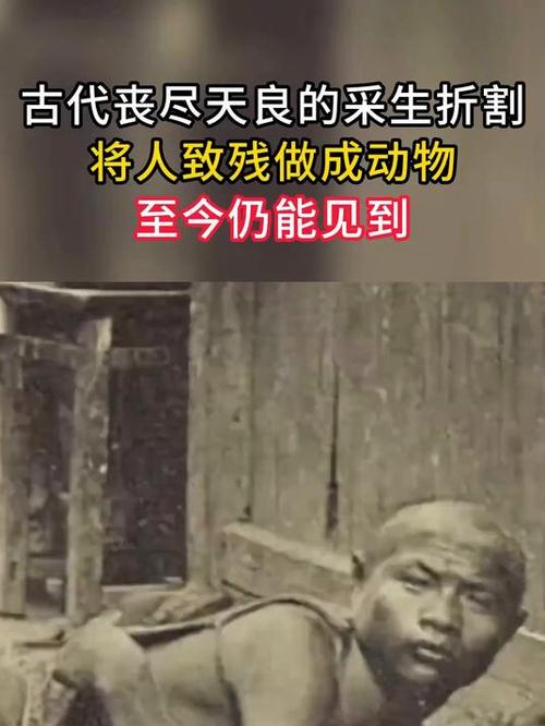 大明律采生折割原文
