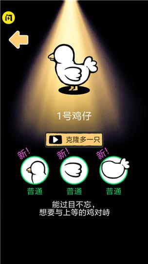 小鸡真奇怪官网下载