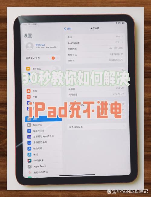ipad只能充到30%