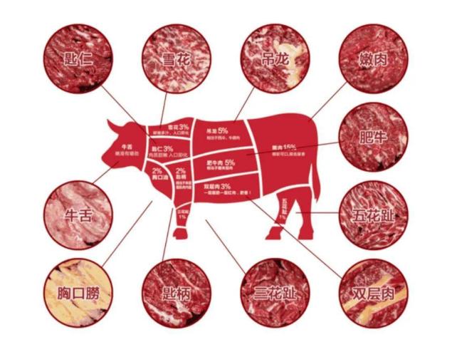 牛肉的部位分类
