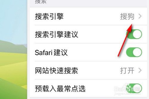 safari播放器设置在哪