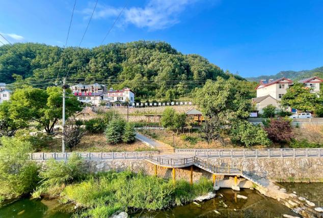 桃源山村王野