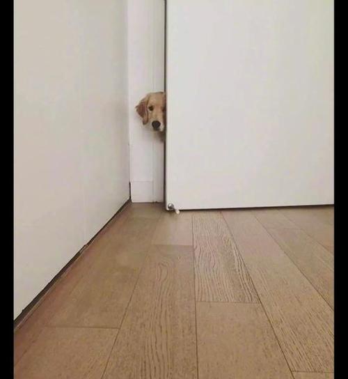 偷偷看他抖音他知道么截图