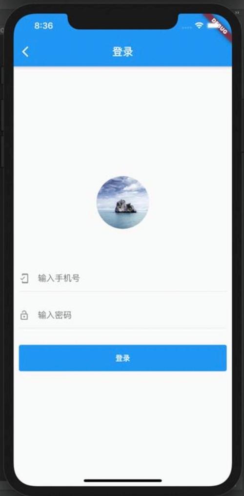 小马登录器