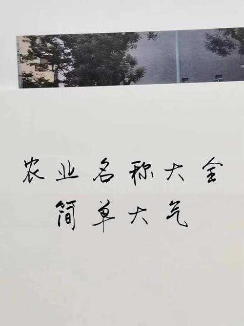 农业公司取名字参考大全图标
