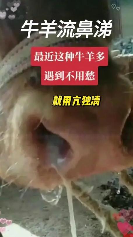 ▖▜▖▗什么意思缩略图