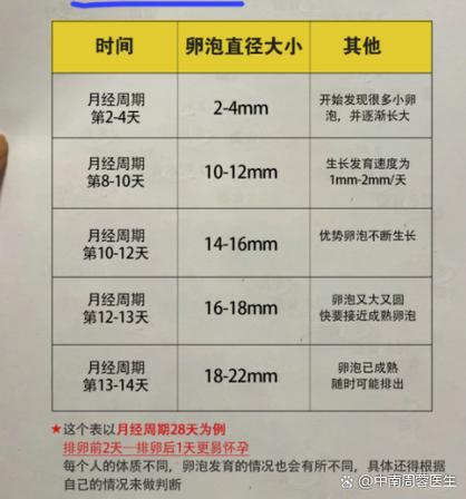 大姨妈结束之后多久是排卵期