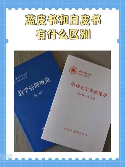 zb政策是什么意思