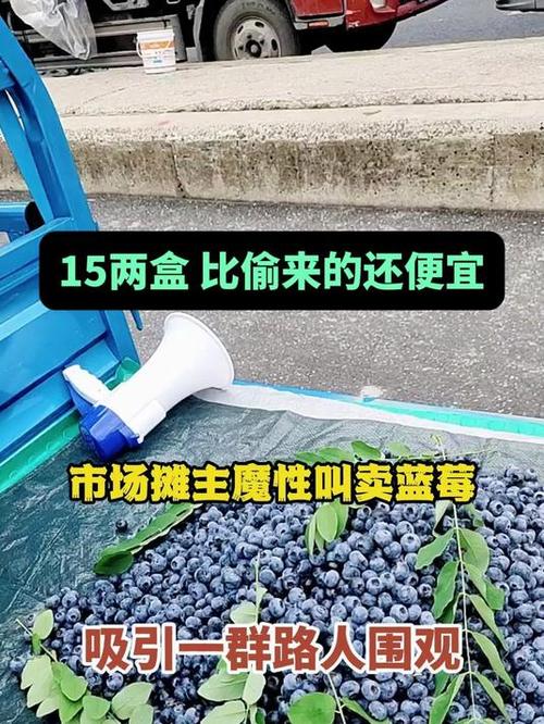 蓝莓叫卖最火的十句话