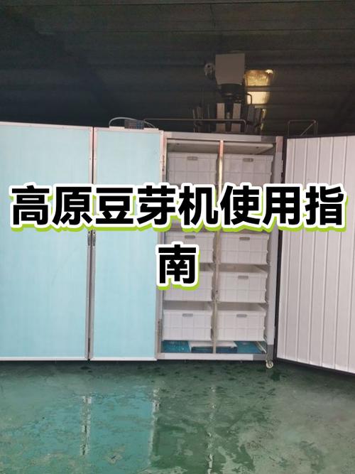 商用豆芽机生产豆芽步骤视频