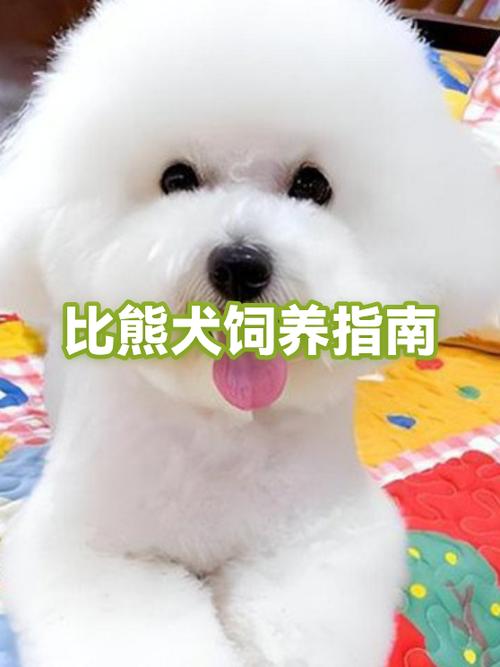 比熊喝温水好还是凉水