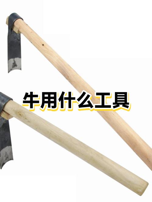 养牛达人算力牛有什么用
