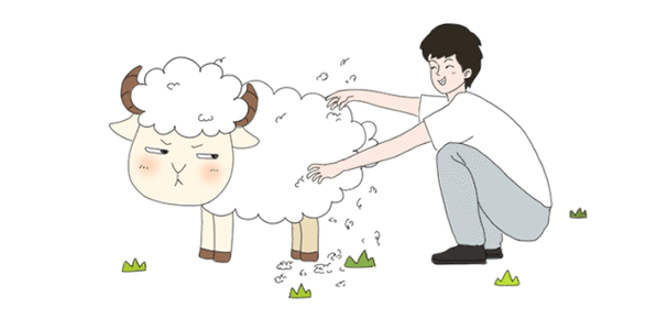 薅羊毛了