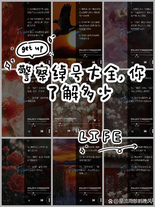 专案行动代号名称大全