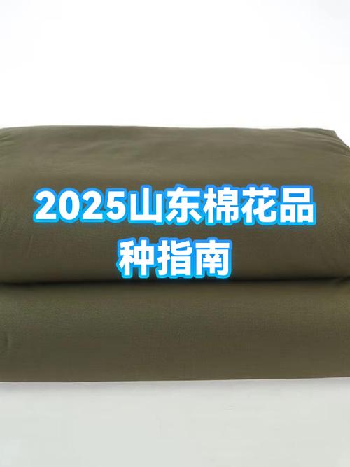 山东棉花最好的品种
