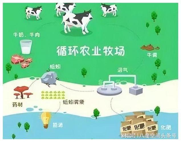 什么草养猪不用喂饲料
