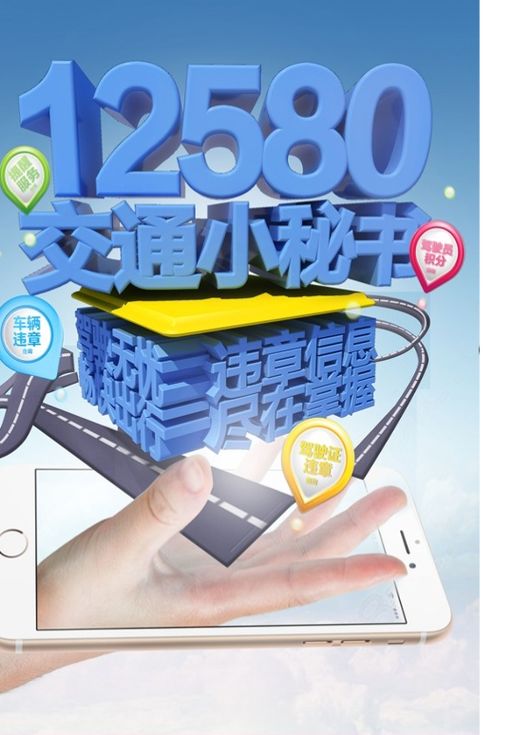 12580查车主