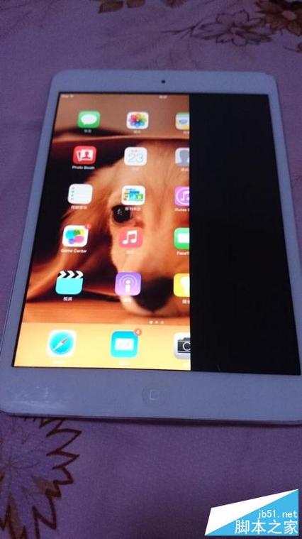 mini2屏幕出现条纹怎么维修