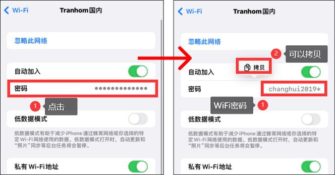 苹果ipad查看wifi密码的步骤