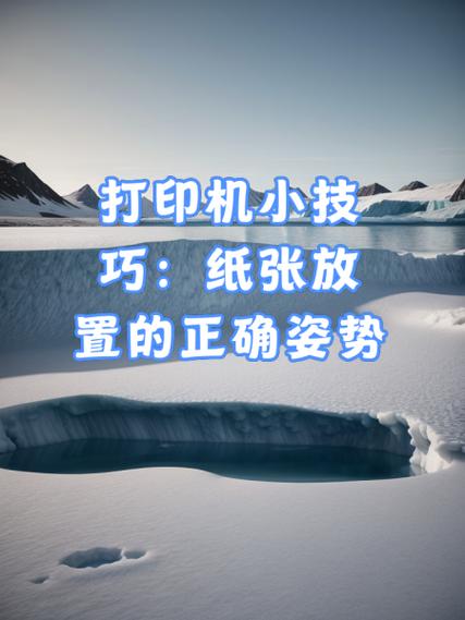 打印机如何放纸