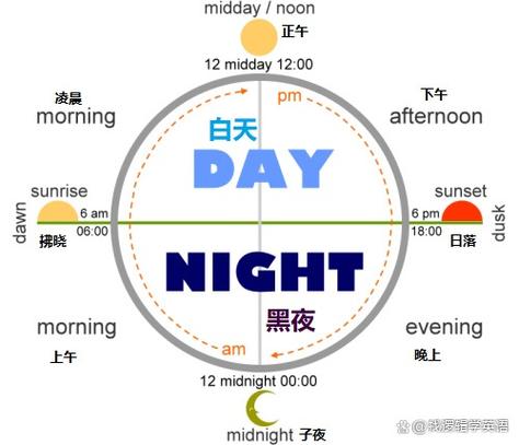 黑夜白昼打一生肖答案