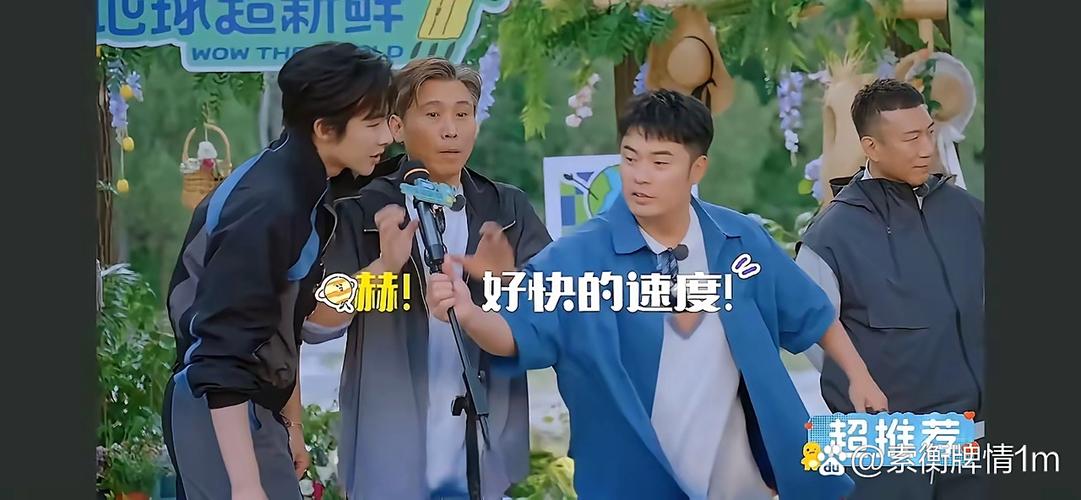猜明星唱歌的综艺节目叫什么