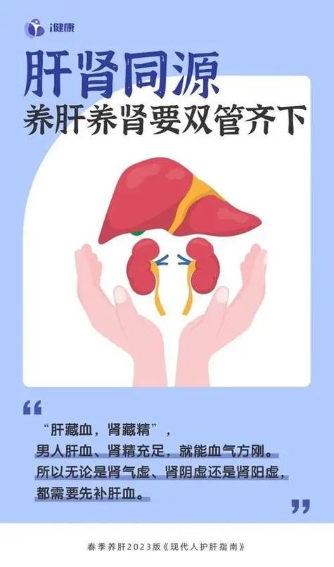 为什么肝体阴用阳