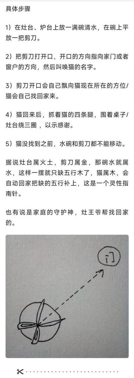 一碗水一把剪刀找猫