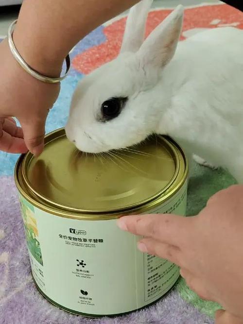 特兔视频图标