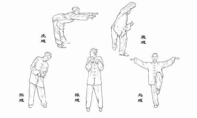 五禽戏国家标准口令
