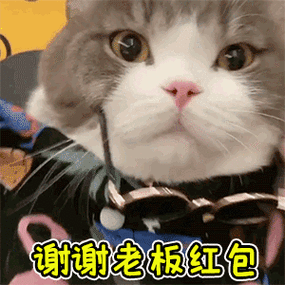 萌宠红包缩略图
