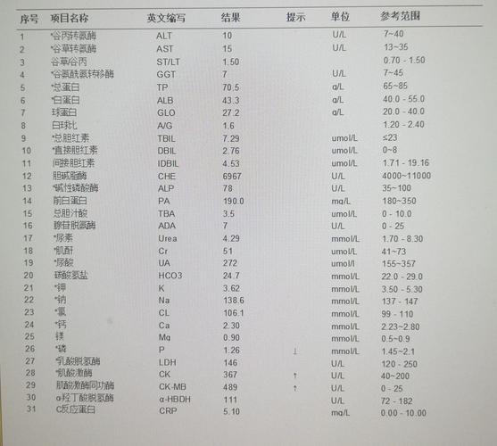 ck3发展度有什么用