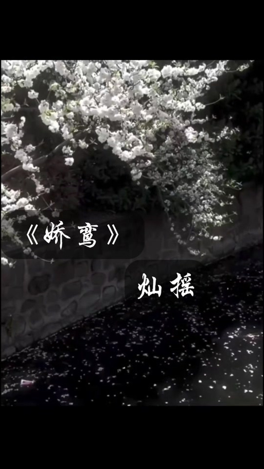 娇鸾txt缩略图
