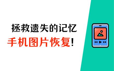 浏览网页被清除能恢复吗