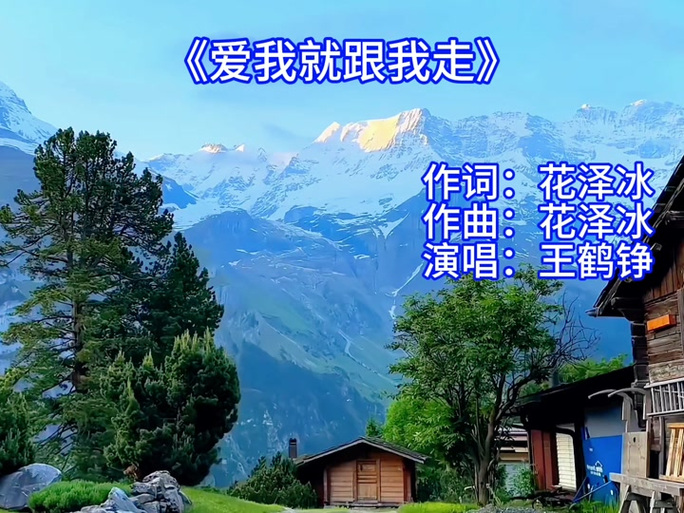 你说你爱就跟我走歌词图标