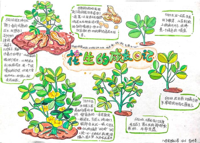 学生成长日记20篇