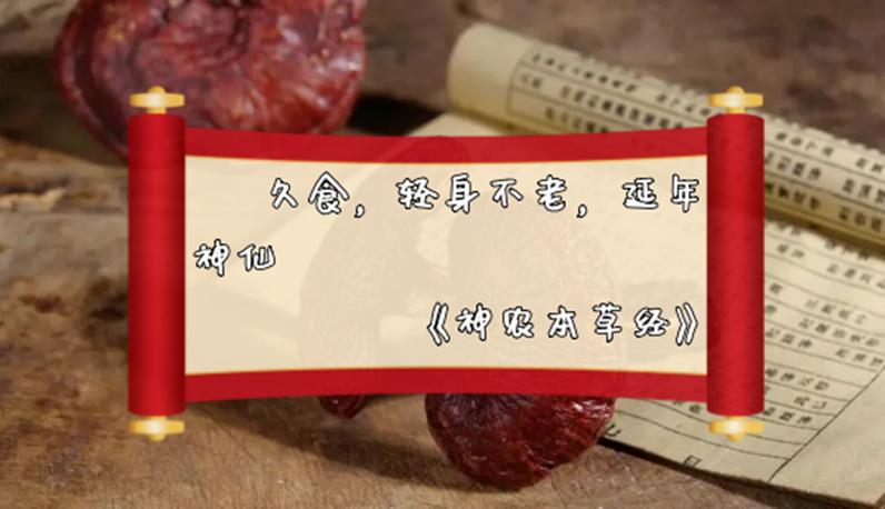 久食轻身不老,延年神仙的意思