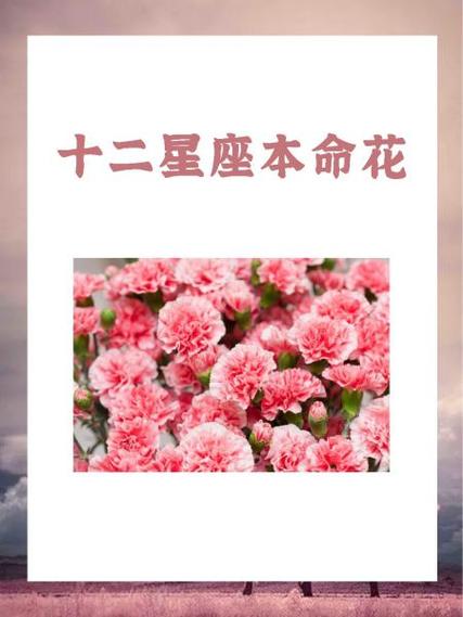 查自己的本命花
